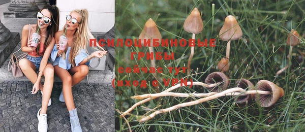 бошки Нефтекумск